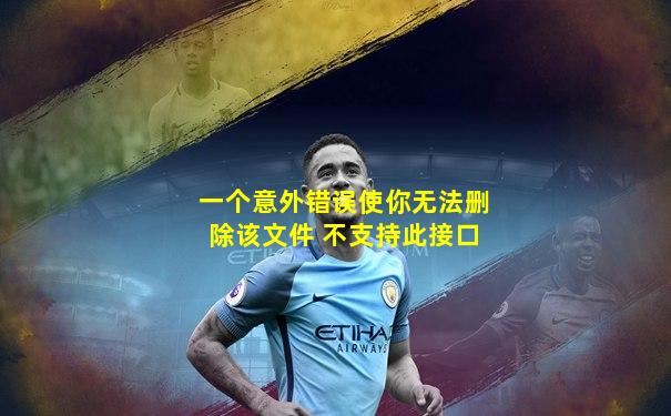 一个意外错误使你无法删除该文件 不支持此接口